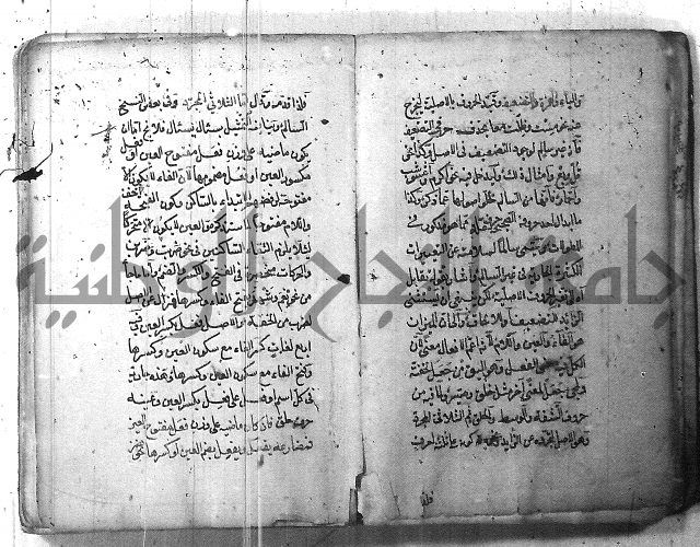 التفنن في الصرف