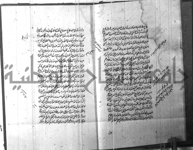 الطريقة المحمدية 