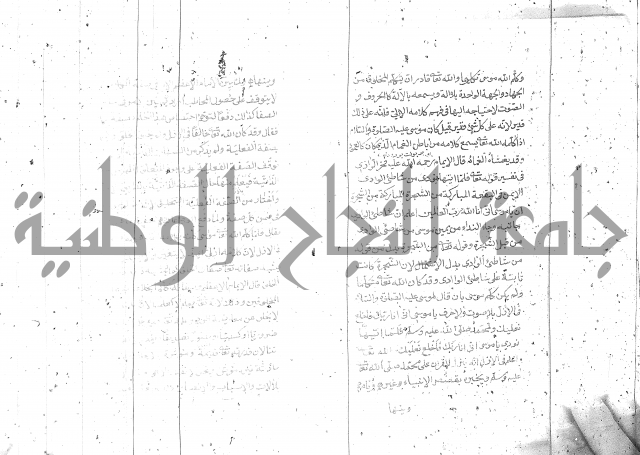 شرح الفقه الاكبر