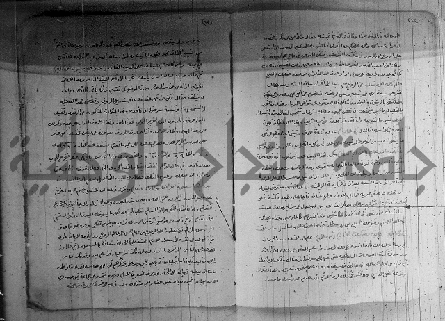 الرتقة السهيلية  