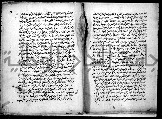 حاشية السجاعي على شرح قطر الندى وبل الصدى لابن هشام