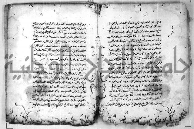 الدرة المعنية في شرح الفارضية 