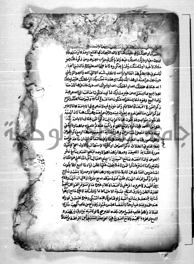  الربع الثاني من شرح الرملي على المنهاج 