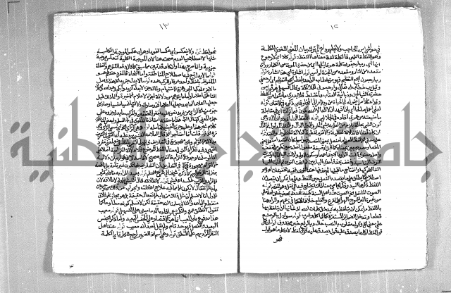 حاشية السجاعي على شرح قطر الندى وبل الصدى لابن هشام