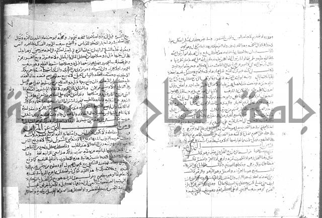 التلخيص