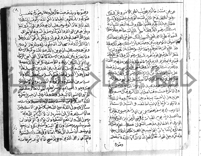 مختصر في العبادات