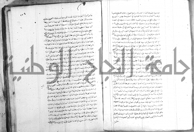 خزانة المفتين