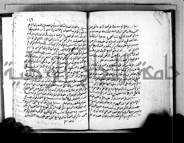 الفتاوى الامينية