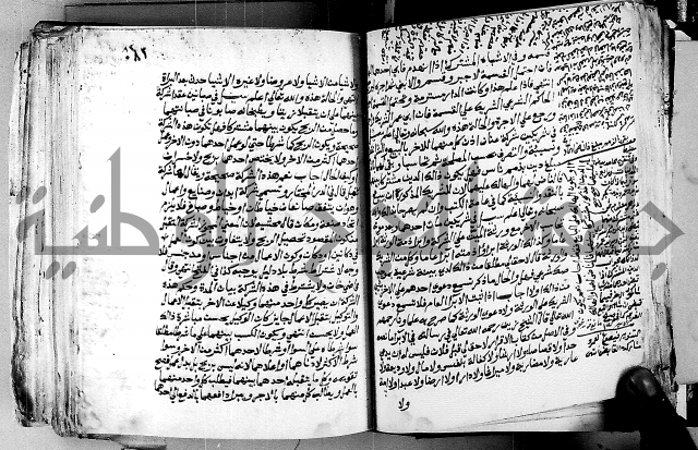 فتاوى احمد زائد الغزي 