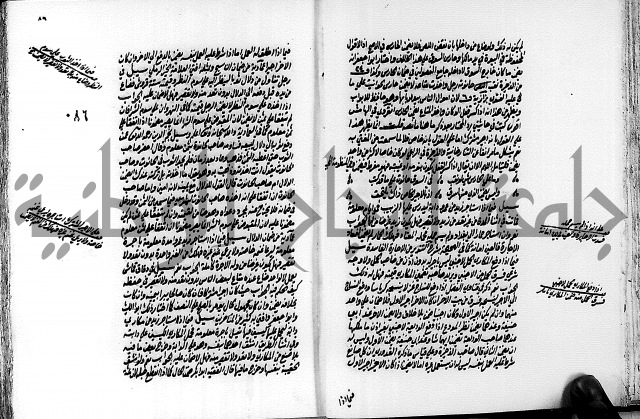 الجواهر الدورية في تنقيح الفتاوى الحامدية ج2 