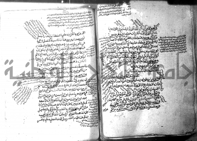 شرح الاشموني على الافية