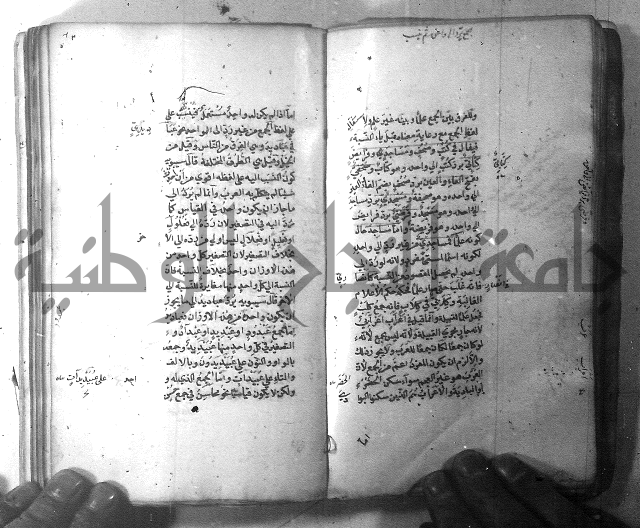 شرح الشافية 