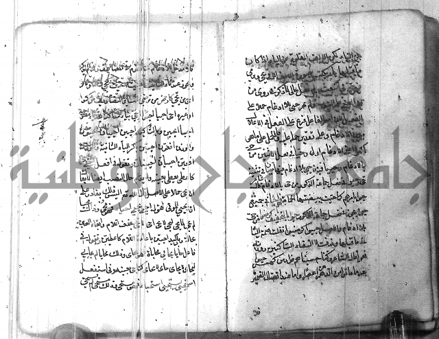 التفنن في الصرف