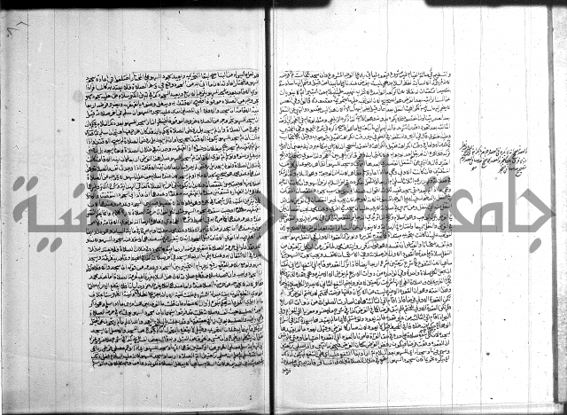 تنوير الابصار 