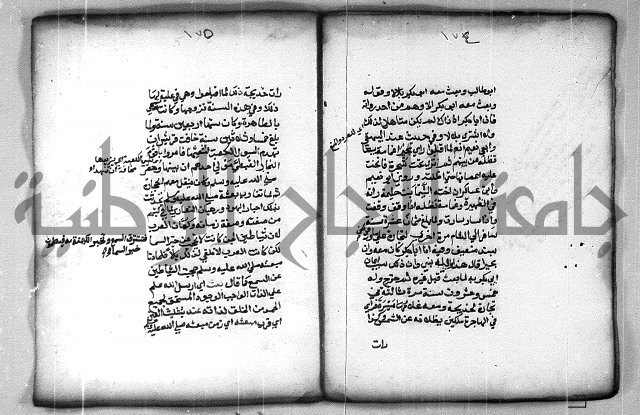 شرح الهمزية  