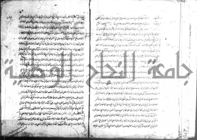 منية الفتى 
