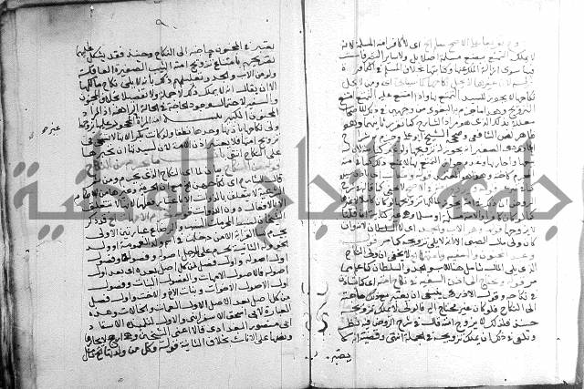 السنباطي على المحلي