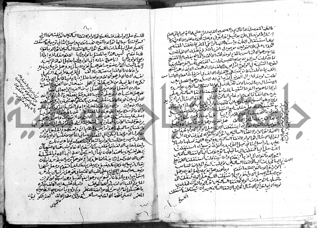 كتاب في اللغة العربية