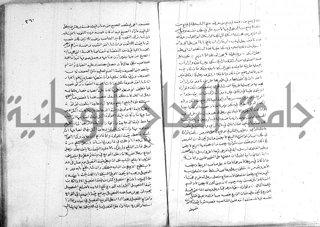 خزانة المفتين