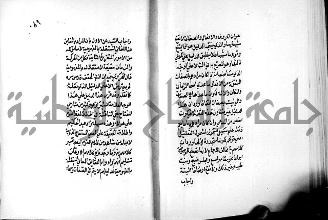 الرسالة البيانية