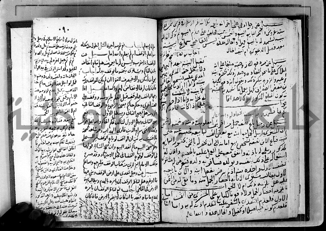 الفتاوى الامينية