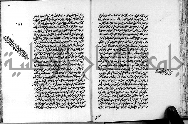 الجواهر الدورية في تنقيح الفتاوى الحامدية ج2 