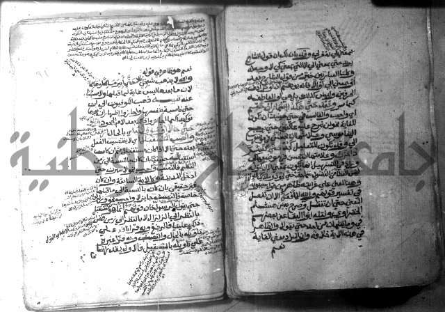 شرح الاشموني على الافية