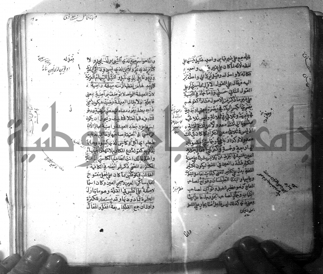 شرح الشافية 