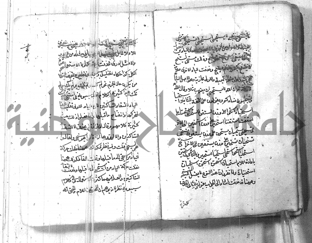 التفنن في الصرف