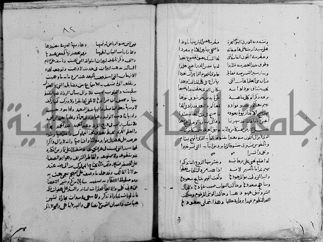 كتاب في الادب 