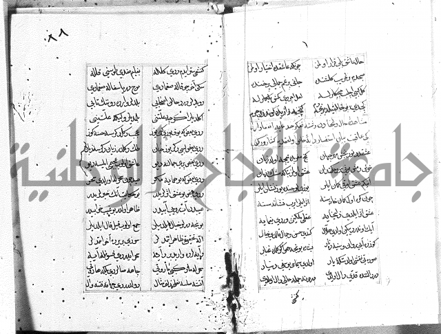كتاب يوسف زليخا المؤلف 