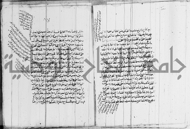 نحو - شرح الكافية