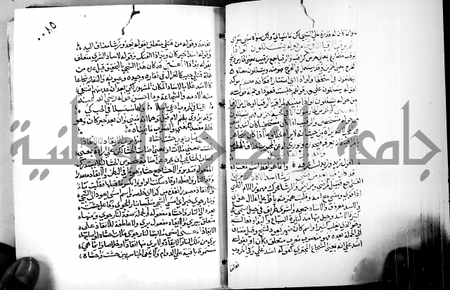 البحر الفائض في شرح ديوان ابن الفارض البوريني 