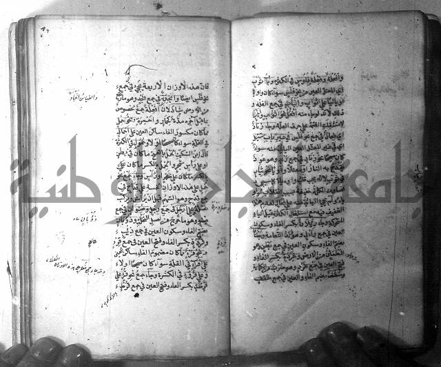 شرح الشافية 