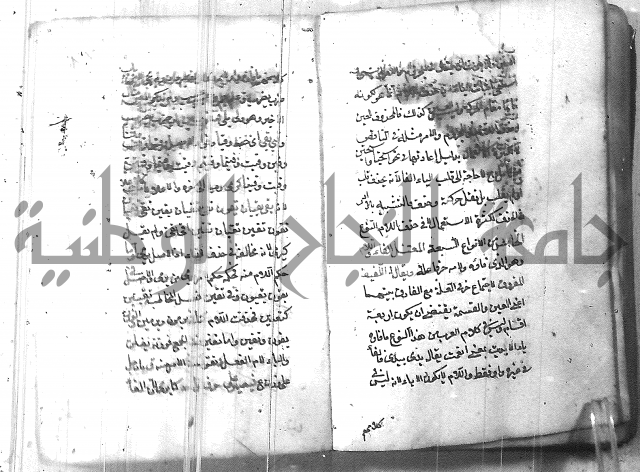 التفنن في الصرف