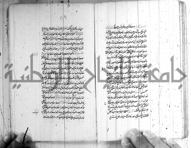 سيد التعريفات