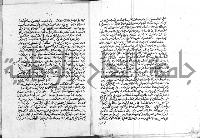 كتاب في اللغة العربية