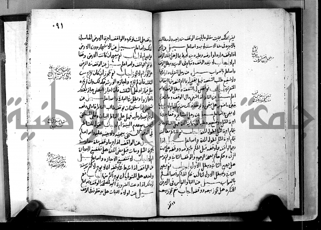 الفتاوى الامينية