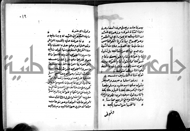 شرح شذور الذهب في معرفة كلام العرب 