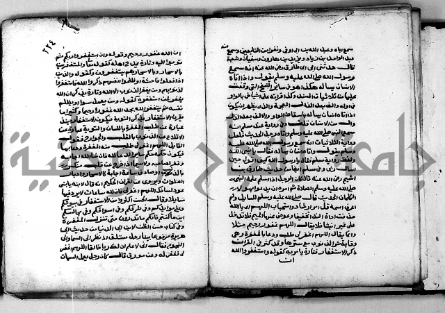شرح ثلاثيات المسند ج 2 
