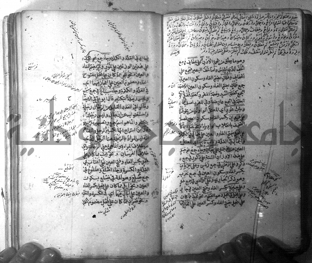 شرح الشافية 