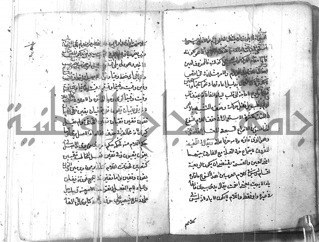 التفنن في الصرف