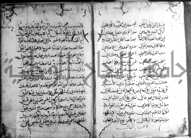 ديوان الصرصري