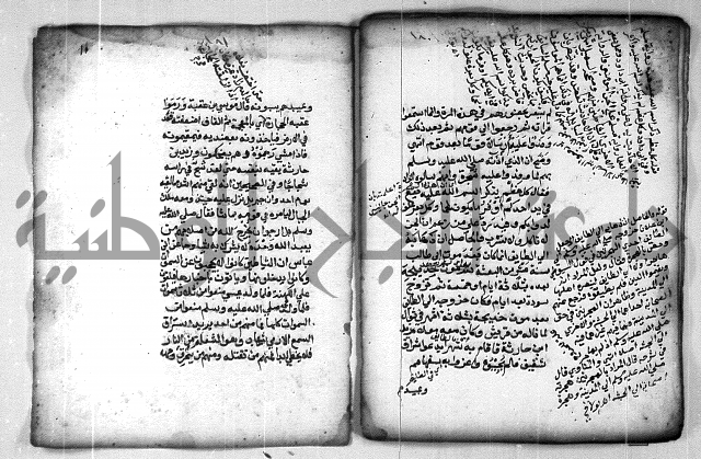 شرح الهمزية  