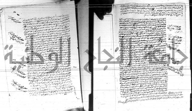 الفتاوى الحسينية