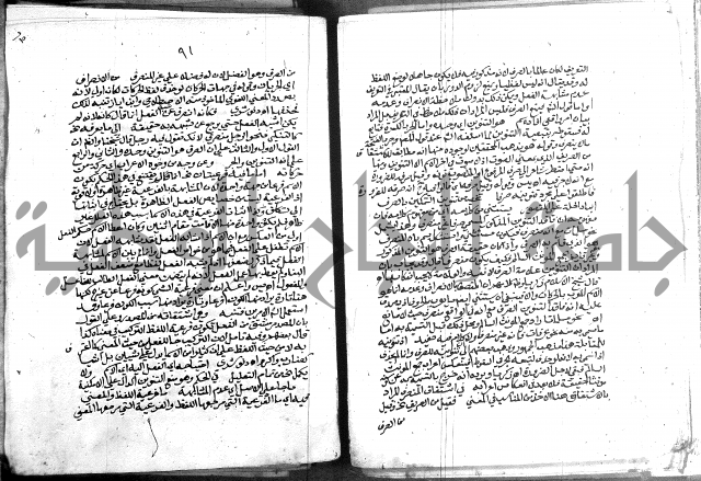 كتاب في اللغة العربية