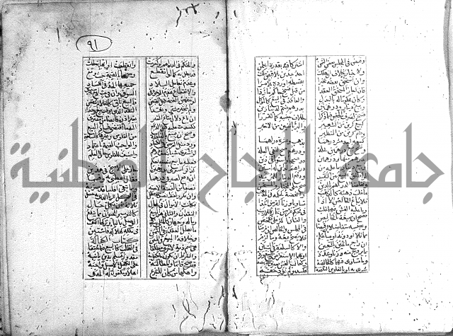 خلاصة التنوير 