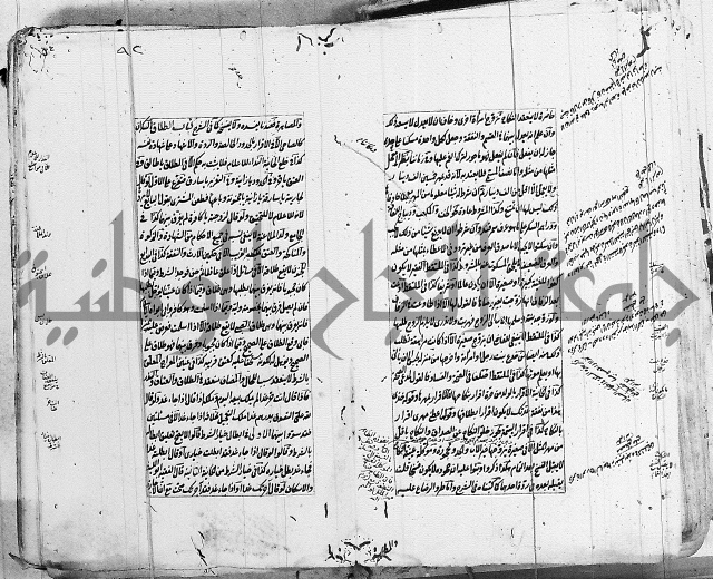 الاشباه والنظائر