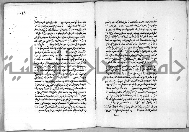 حاشية الجمل على الجلالين 