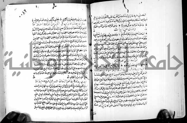 البحر الفائض في شرح ديوان ابن الفارض البوريني 